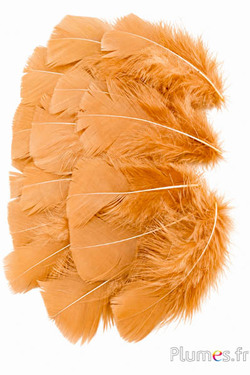 Tacchina - 6-8 cm - castagna